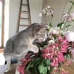 La Queurie La Courbe