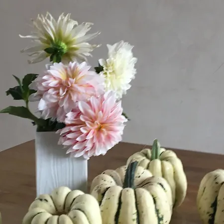 Bed & Breakfast La Queurie 3*