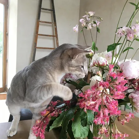 La Queurie La Courbe