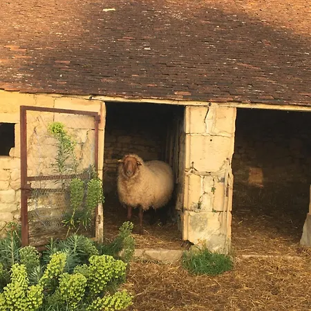 Bed & Breakfast La Queurie 3*