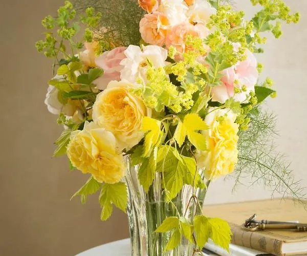 La Queurie Bed and Breakfast 3*