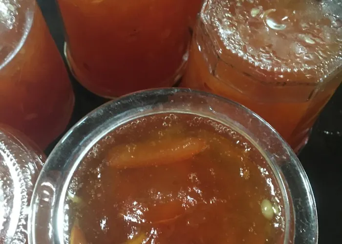 Bed and Breakfast La Queurie La Courbe