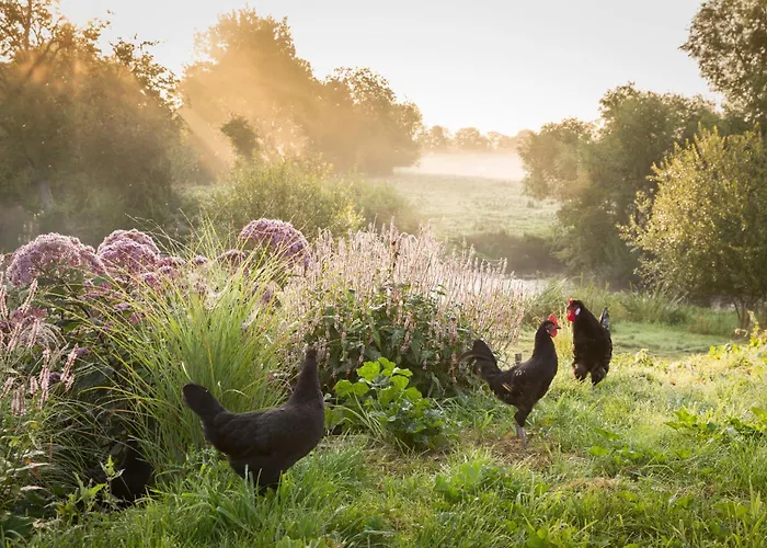 La Queurie Bed and Breakfast