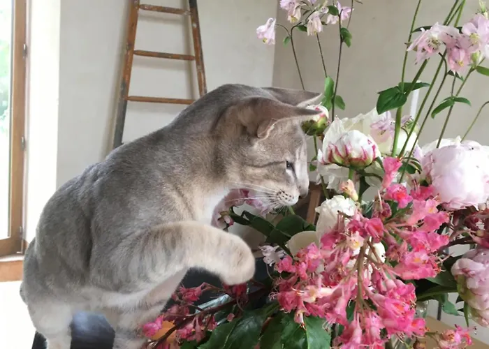 La Queurie La Courbe