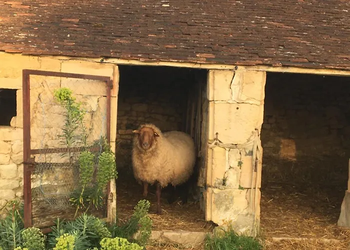 Bed and Breakfast La Queurie 3*