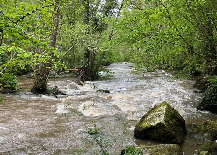 Bed and Breakfast La Queurie La Courbe